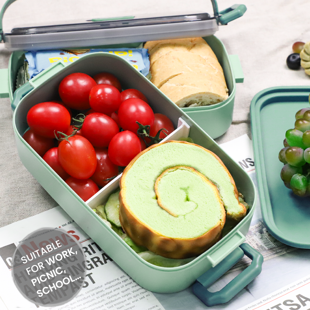 Lunch Box 1600ML, Bento Box Leak-Proof Dishwasher Microwave Safe BPA-Free