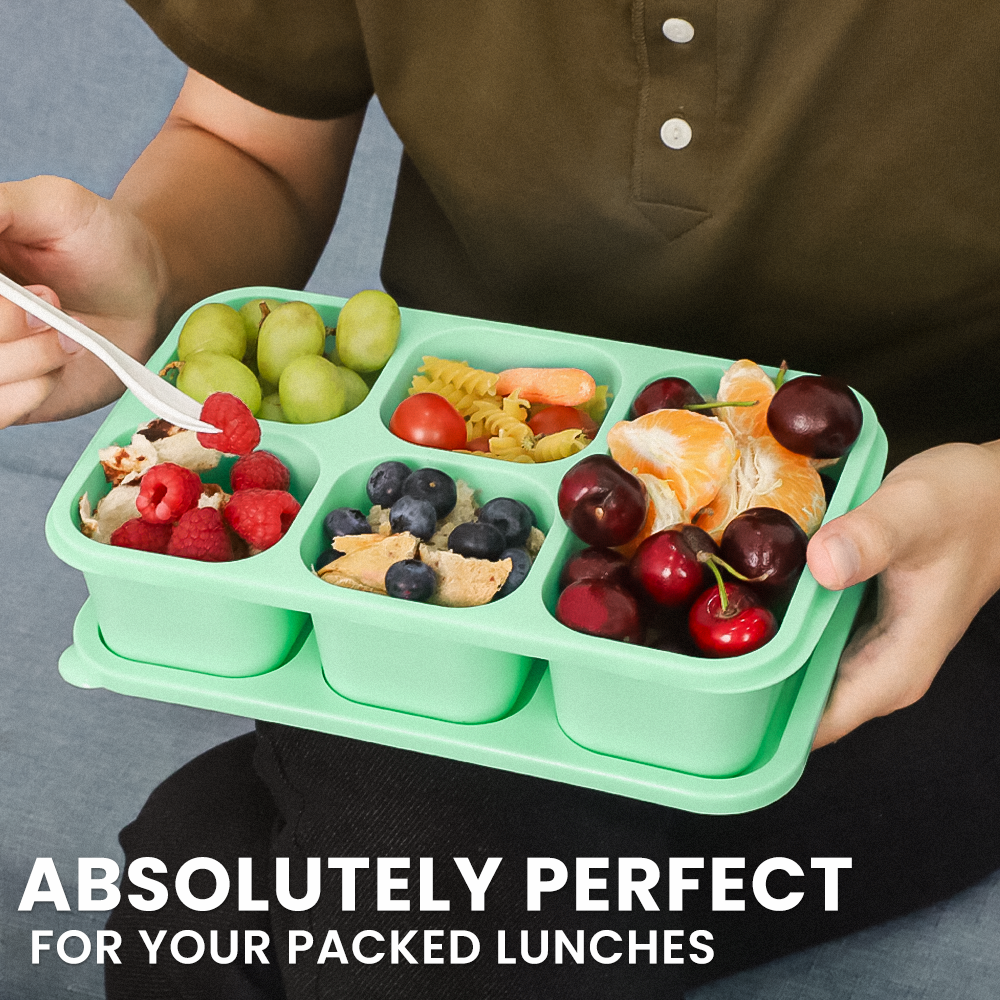 Bugucat Lunch Box 1550 ML, Double Stackable Bento Box Container