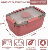 Bento Box 2000ML, Fiambrera Ensalada Contenedor de Almuerzo para Llevar con Bandeja de 4 Compartimentos
