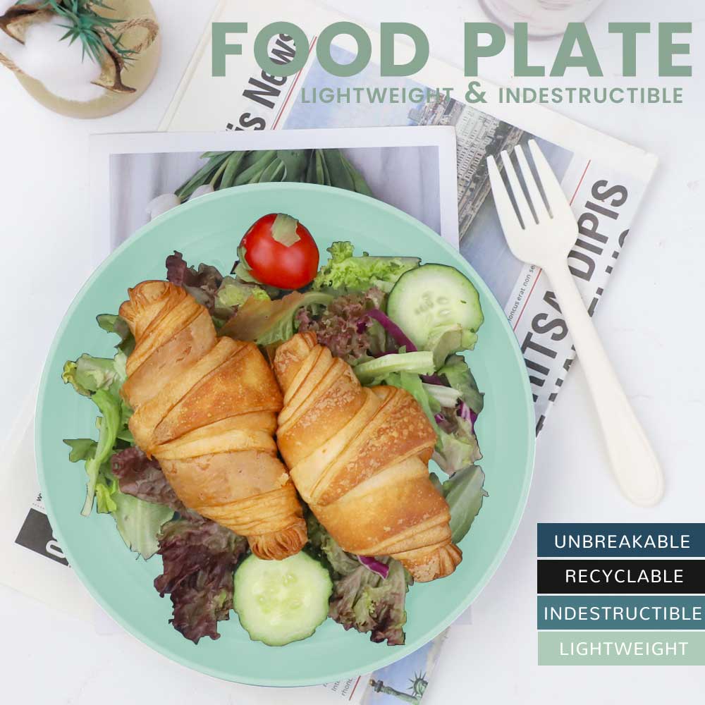 Bugucat Plates 8 PCS,Picnic Plates Lightweight Dishes Plates Sets,Plastic Plates Set Unbreakable and Reusable,Dessert Plates For Picnic Home,Dinner Plates Microwave and Dishwasher Safe